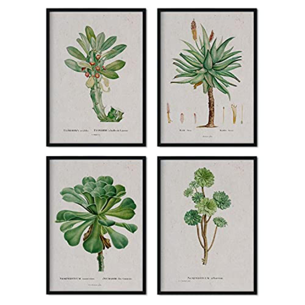 POSTER Set mit 4 saftiger Blätter aus dem Künstler PierreJoseph Redouté A3 Rahmenlos - Klar, Papier (29.7/3cm) - Nacnic