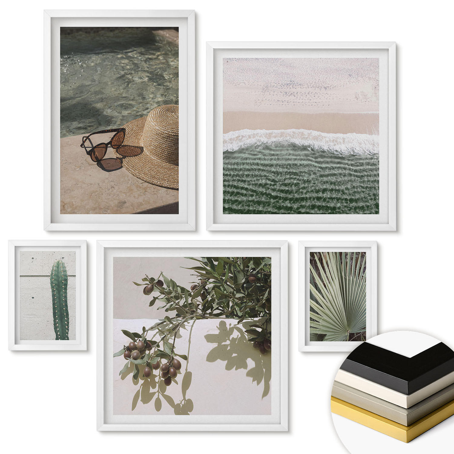 WANDBILDER 5er-Set - 50x50 cm & 20x30 cm & 40x60 cm Weißer Rahmen - Zubehör für tropische Pflanzen - Weiß, Kunststoff (40/60cm) - ArtPrintCave