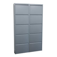 SCHUHKIPPER grau - Grau, Holzwerkstoff (100/173/16cm) - ebuy24