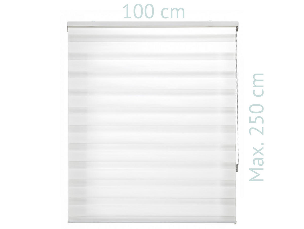 ROLLO Polyester Transluzent Cream 100x250 - Creme, Textil (100/250/1cm) - Purline