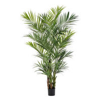 PALMEN Künstliche Kentia Palme - Cecilia 260 cm - Grün, Kunststoff (260cm) - aplanta