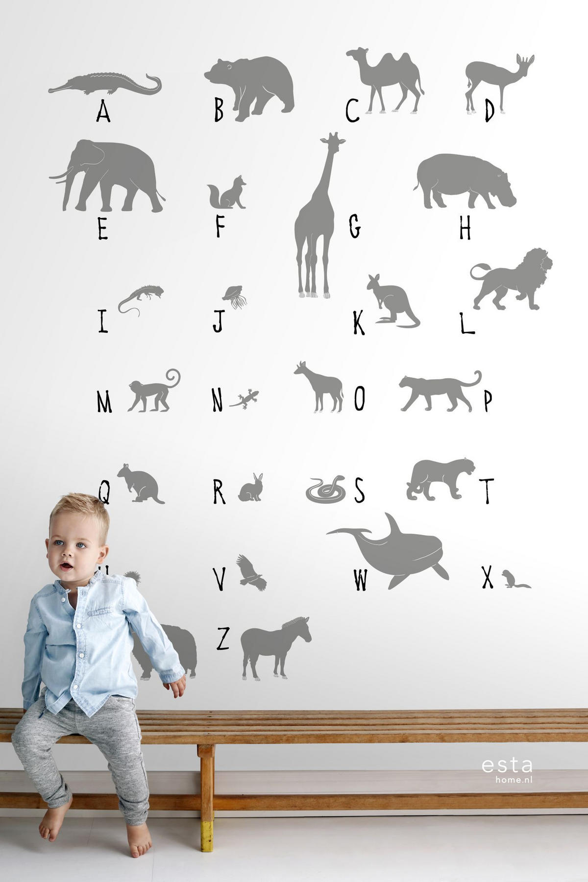 FOTOTAPETE Tier-ABC 150 x 279 cm - Grau, Papier (150/279cm) - ESTAhome