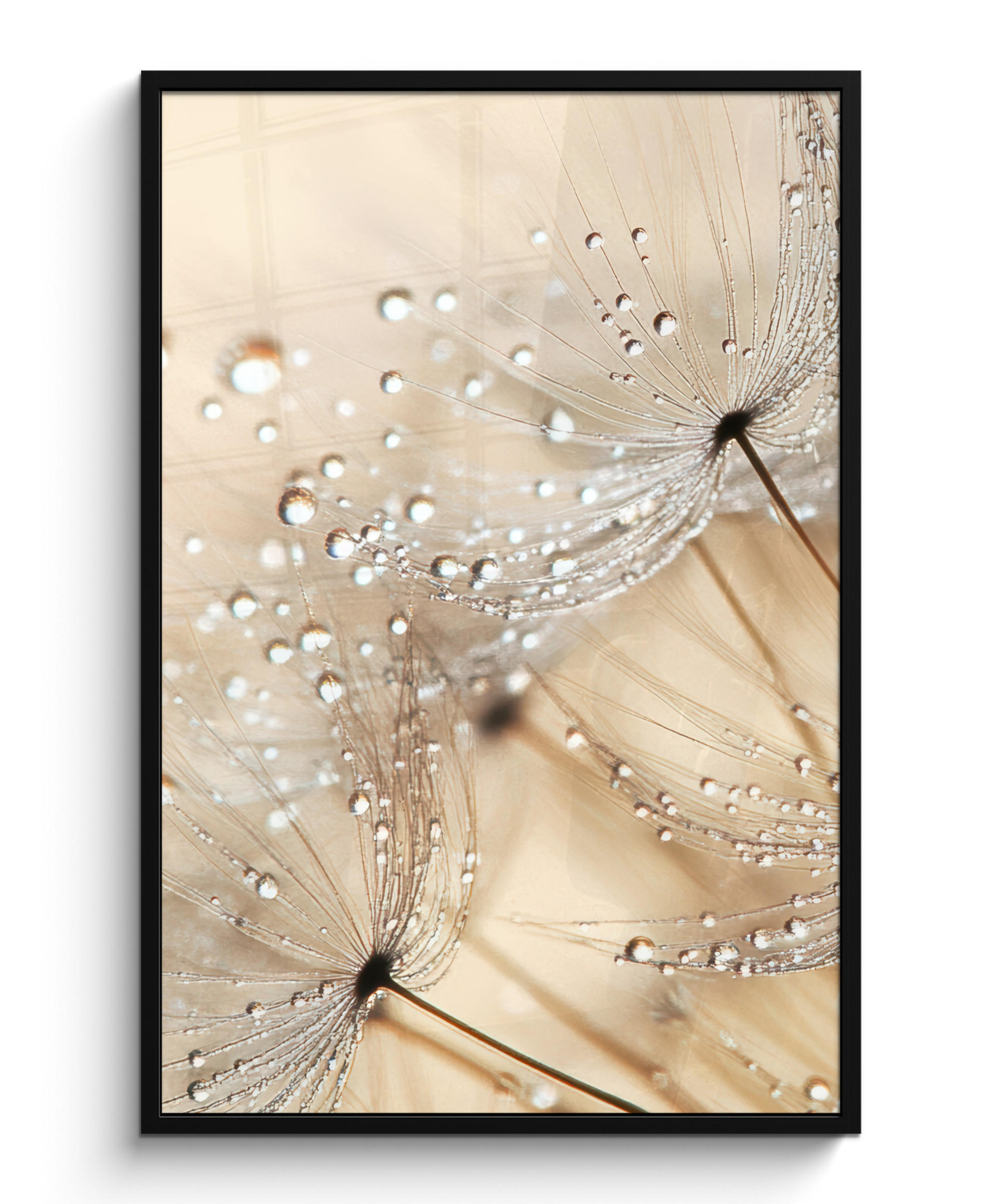 GERAHMTES BILD Löwenzahn - Abstrakt - Natur - Beige 80x120 cm - Braun, Papier (80/120cm) - MuchoWow