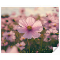 TAPETE - Blumen - Lila - Unscharf - 260x220 cm - Rosa, Papier (260/220cm) - OnlyWow