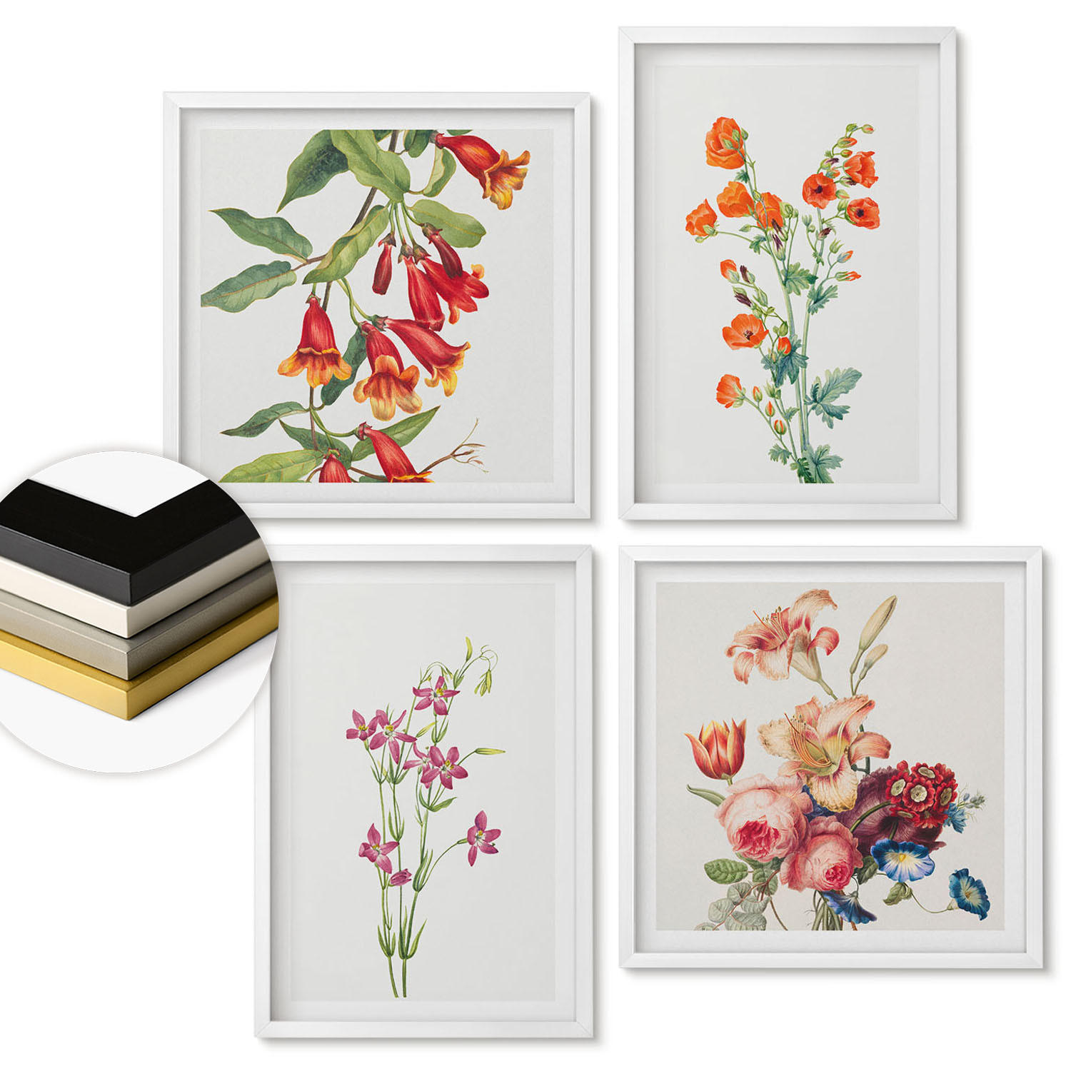 WANDBILDER 4er-Set - 50x50 cm & 40x60 cm Weißer Rahmen - Blumenmalerei im Retro-Stil - Weiß, Kunststoff (50/50cm) - ArtPrintCave