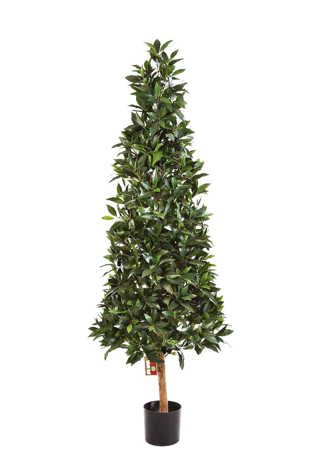 KUNSTBAUM Künstliche Lorbeer - Teresa 110 cm - Grün, Kunststoff (110cm) - aplanta
