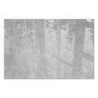 GLASPLATTE für Kamin 60x40 cm - Grau, Glas (60/40/0.4cm) - TULUP