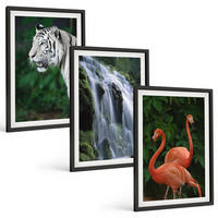 BILDER SET 3er Set - 40x60 cm Schwarzer Rahmen - Tiger Wasserfall Flamingos Natur - Schwarz, Kunststoff (40/60cm) - TULUP