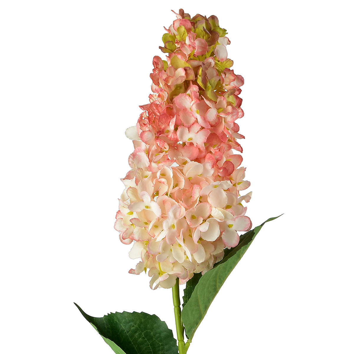 UMĚLÁ HORTENZIE Viridis - zelená barva, plast (80cm) - Mondex