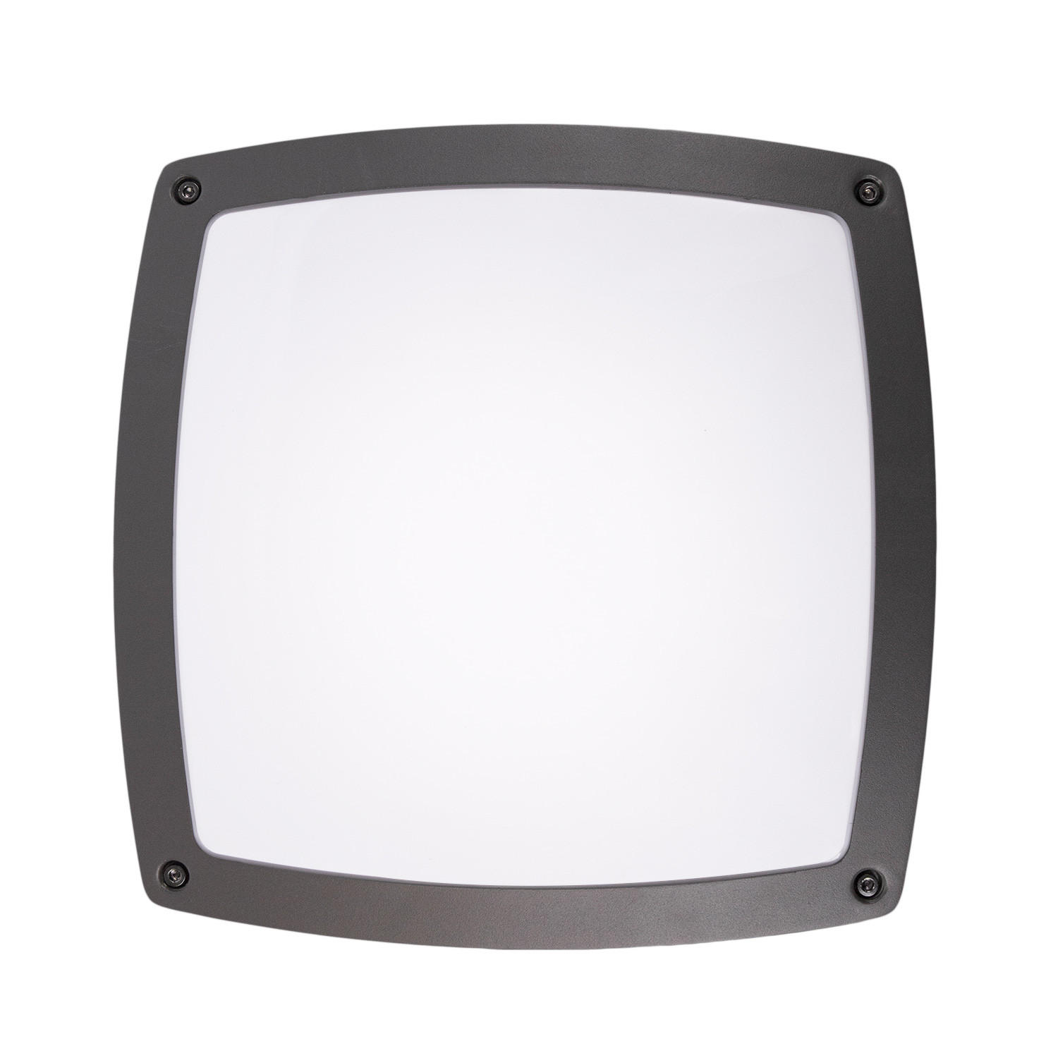 AUSSENLEUCHTE Chiara - Anthrazit, Metall (30/30/9cm) - Paco Home