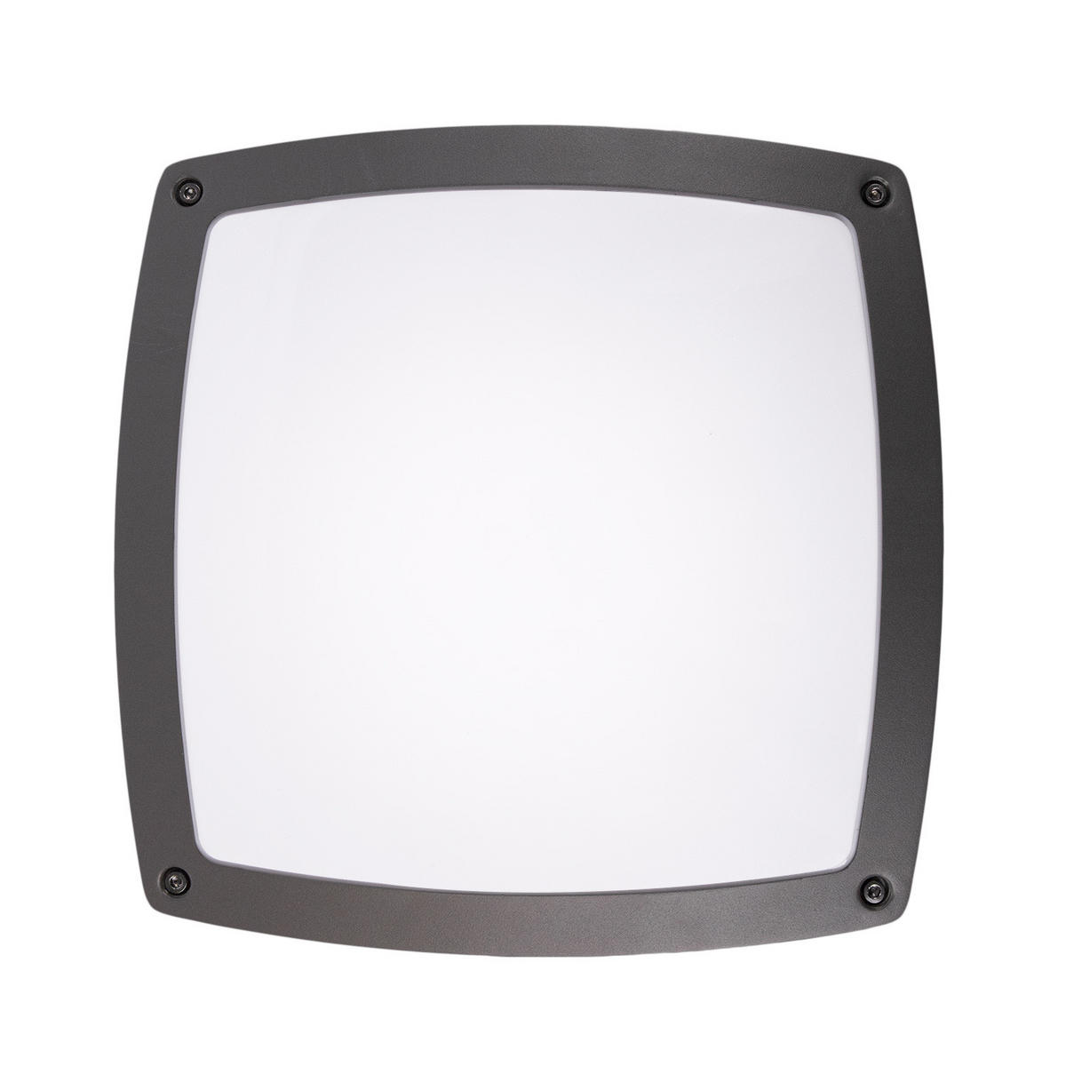 AUSSENLEUCHTE Chiara - Anthrazit, Metall (30/30/9cm) - Paco Home