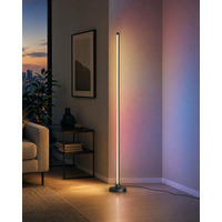 LED-ECKLAMPE mit Fernbedienung integriertem Soundsensor digitale RGBs + Warmweiß Farbeffekte Schwarz - Grau, Kunststoff (15.5/15.5/147.5cm) - Northpoint