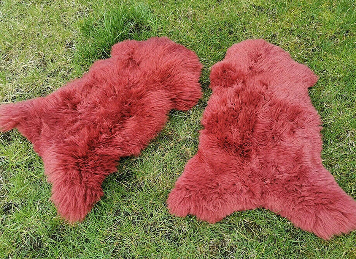 LAMMFELL Öko bunt gefärbt weich Fell Teppich Kirschenrot ca. 110 cm - Kirschrot, Fell (60/110cm) - Provellus