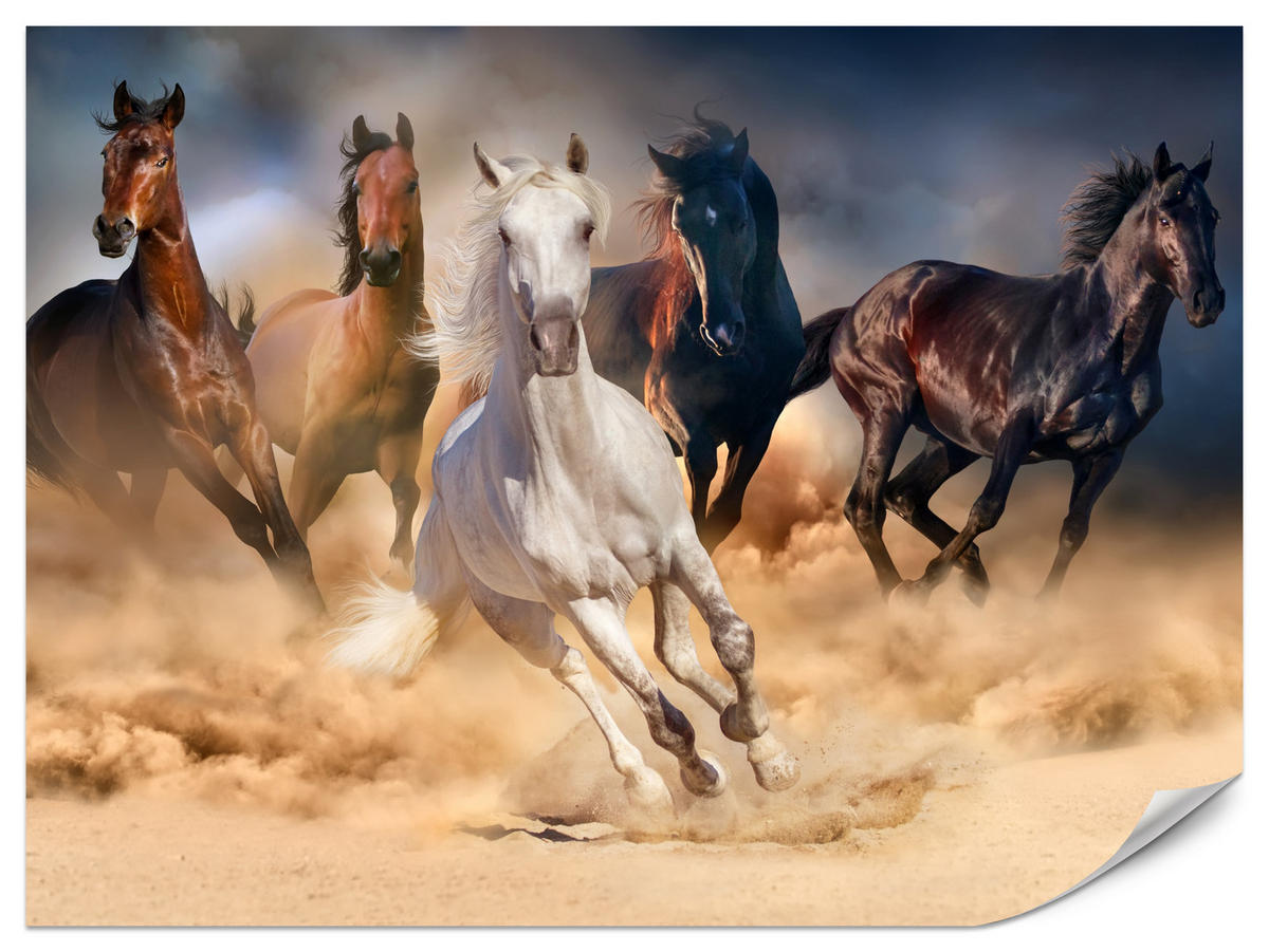 FOTOTAPETE für Schlafzimmer Galoppierende Pferde Wüste Herde 350x256 - Beige/Orange, Papier (350/256cm) - Muralo