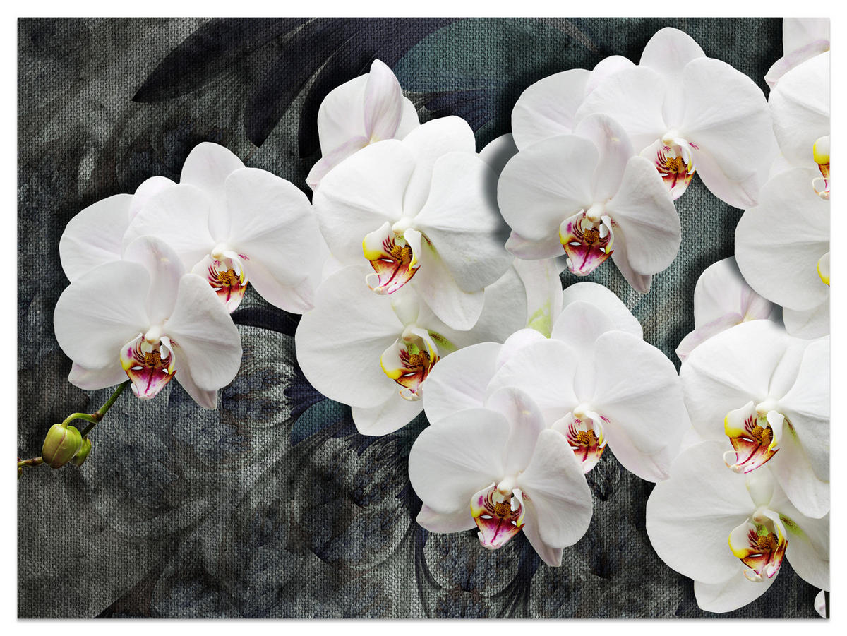 FOTOTAPETA Pre Spálňu Biele Orchidey Rustikálne Pozadie Florálna 300 x 210 cm - sivá/biela, papier (300/210cm) - Muralo