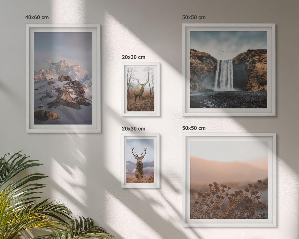 BILDER SET 5er Set - 50x50 cm & 20x30 cm & 40x60 cm Weißer Rahmen - Urlaub Palmen Wasserfall - Weiß, Kunststoff (40/60cm) - TULUP