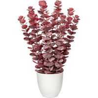 KUNSTPFLANZE Eukalyptus Rot 40 cm - Rot, Kunststoff (44cm)