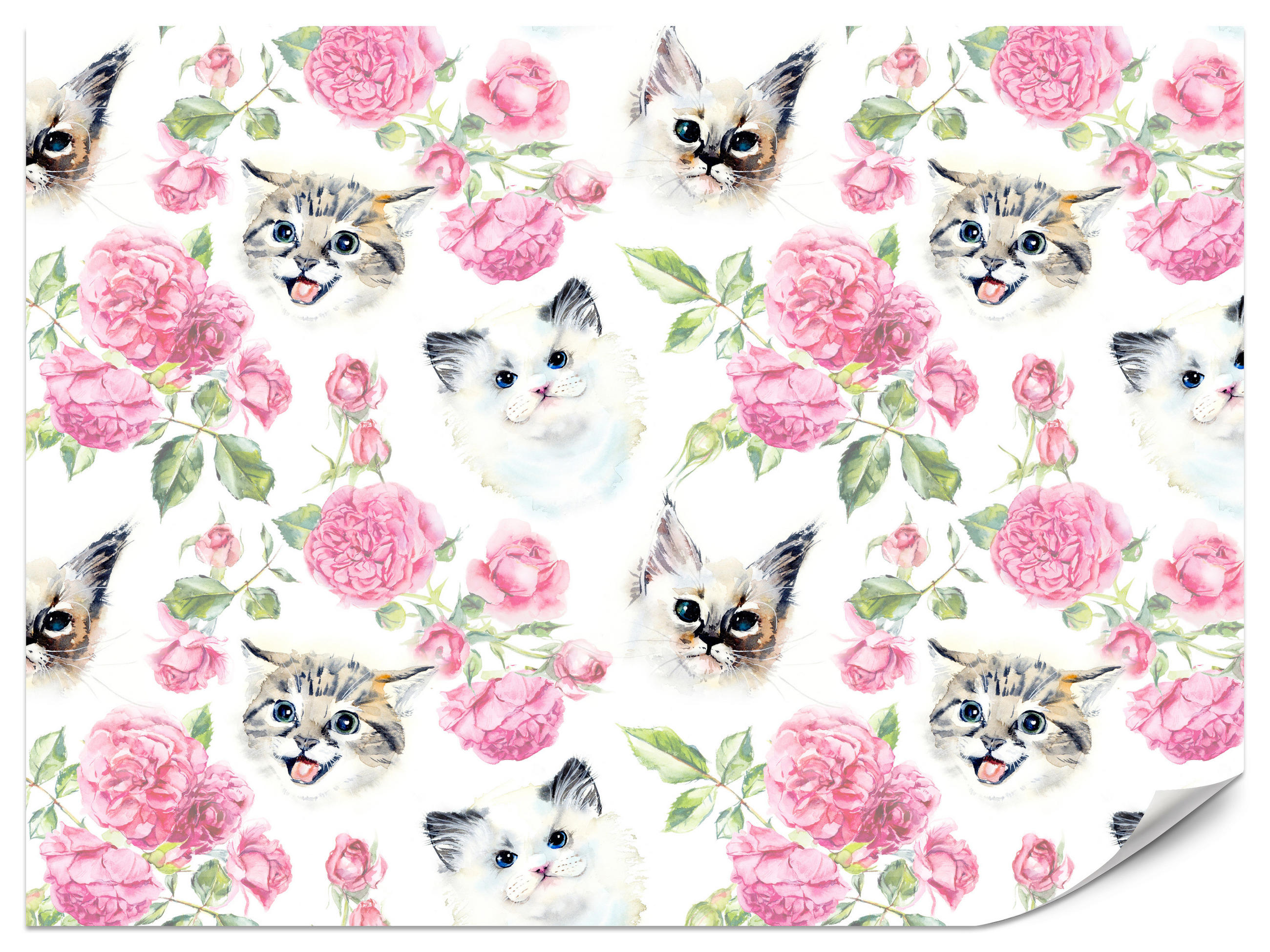 FOTOTAPETE für Badezimmer Kätzchen Rosen Blumen 100x70 - Beige/Rosa, Papier (100/70cm) - Muralo