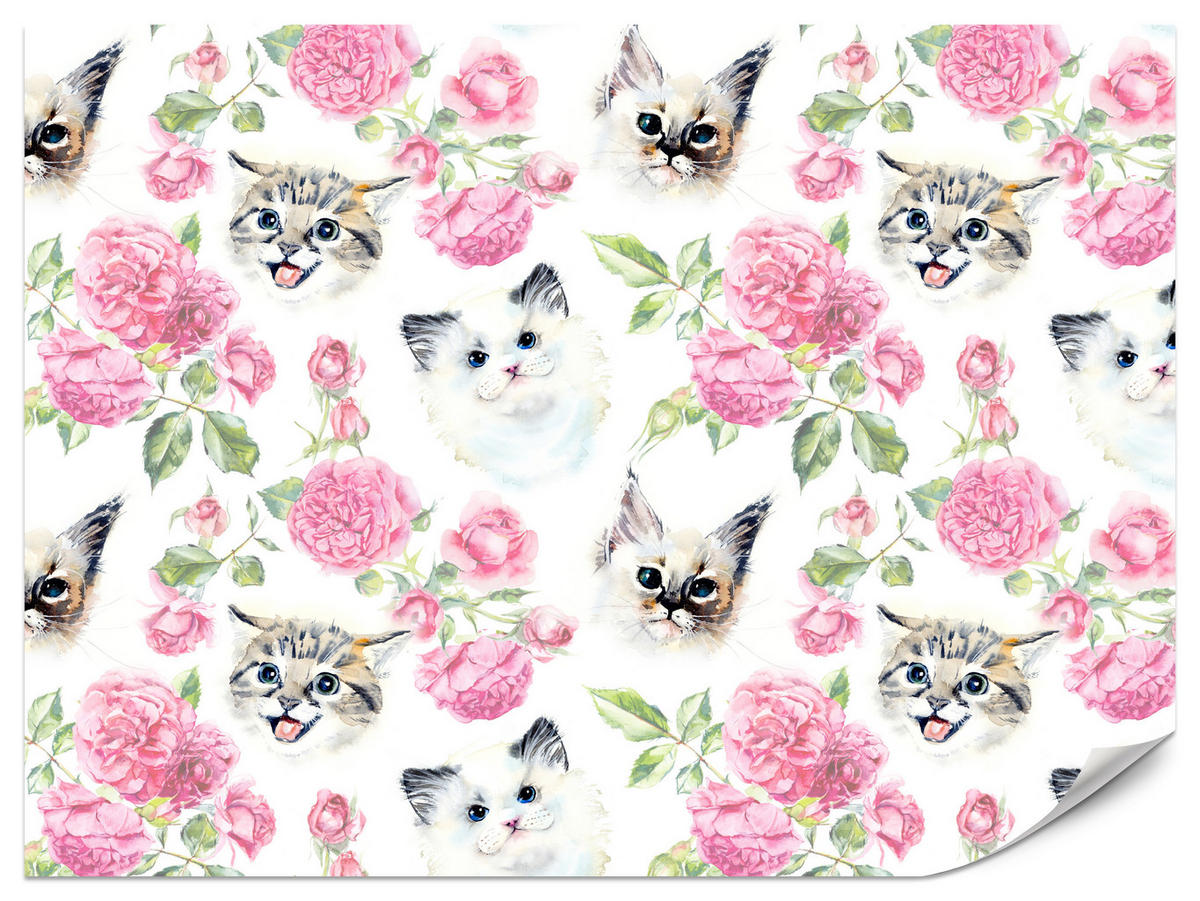 FOTOTAPETE für Badezimmer Kätzchen Rosen Blumen 100x70 - Beige/Rosa, Papier (100/70cm) - Muralo