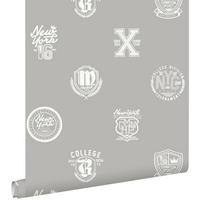 TAPETE Schulembleme 53 cm x 10.05 m - Grau, Papier (53/1000cm) - ESTAhome