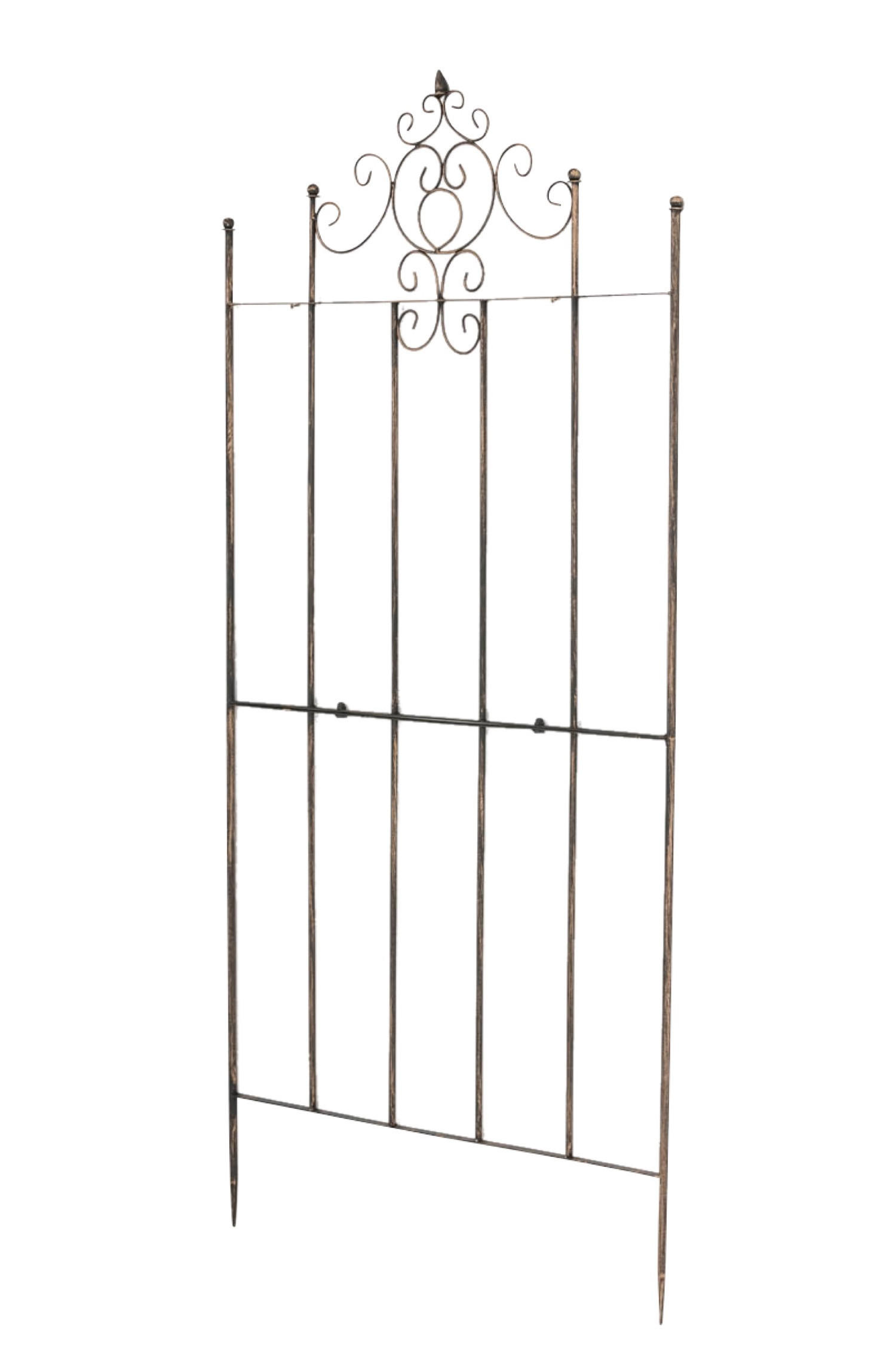 TPFGarden Rankgitter Braun 85.5x170x2 cm