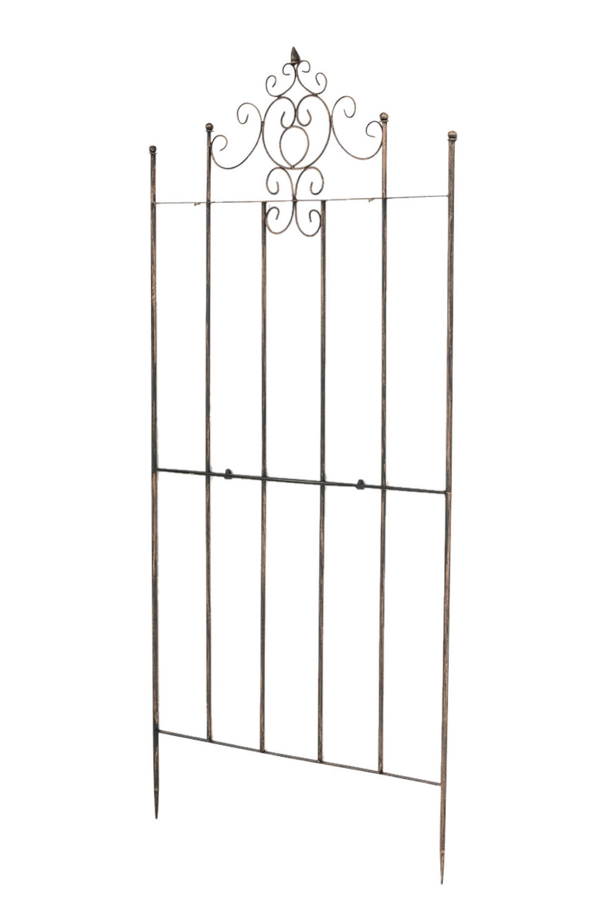 RANKGITTER Paul bronze - Braun, Metall (85.5/170/2cm) - TPFGarden