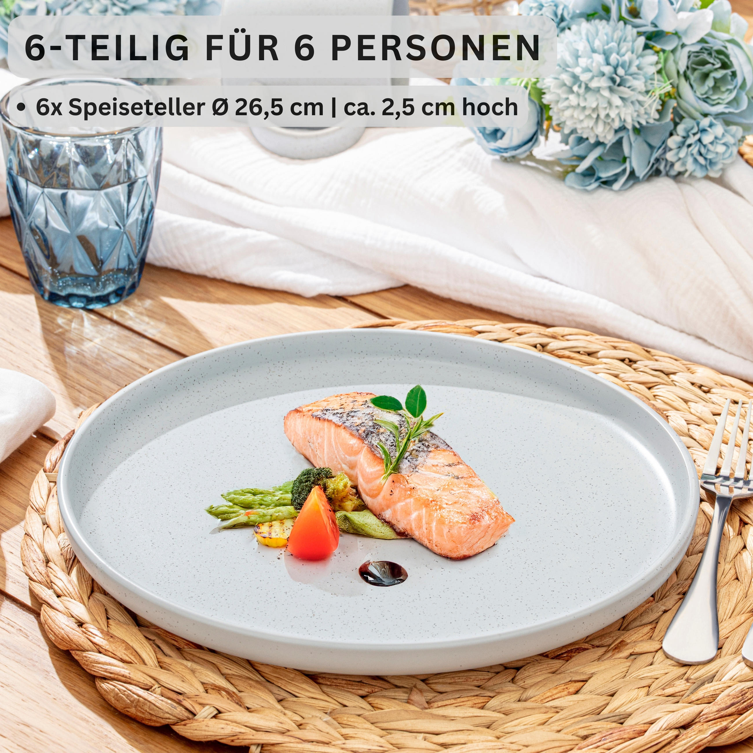 SPEISETELLER LEEDS FROST - 6 teilig aus Steingut - Weiß, Stein (26.5cm) - Sänger