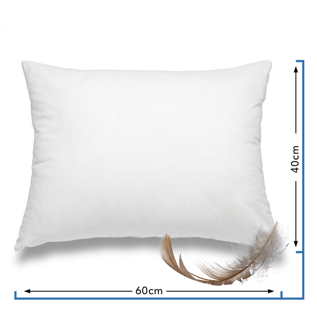 FEDERKISSEN 100% Federn 40/60 cm Bezug aus 100% Baumwolle - Weiß, Textil (60/40cm) - wometo