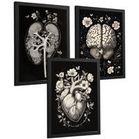 POSTER Set aus 3 Anatomie Mensch Drucke und Wandbilder mit Niere Harnsystem Gehirn und Herz Klassisches Schwarz Weiß Design Größe Schwarzer Rahmen A4 - Schwarz, Papier (21/29.7/3cm) - Nacnic