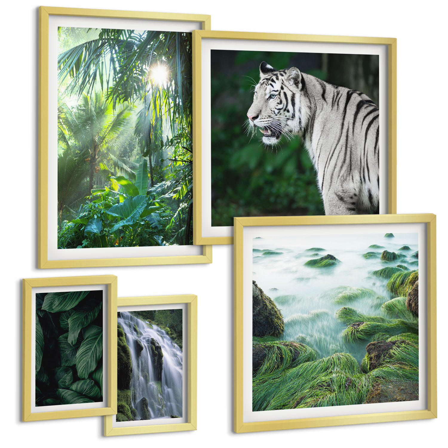 BILDER SET 5er Set - 50x50 cm & 20x30 cm & 40x60 cm Goldrahmen - Blätter und Blüten in verschiedenen Farben - Goldfarben, Kunststoff (40/60cm) - TULUP