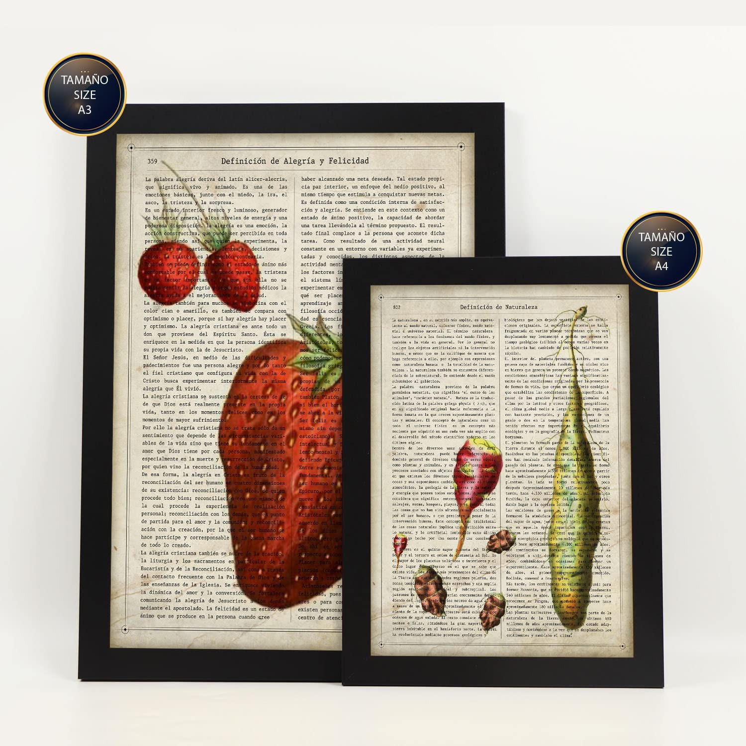 POSTER Set Mit 6 Küche Vintage Papier Stil Plakate Mit Enzyklopädie Hintergründen Obst Und Gemüse, Gesunder Lebensstil A3 & A4 Schwarzer Rahmen - Schwarz, Papier (29/3cm) - Nacnic