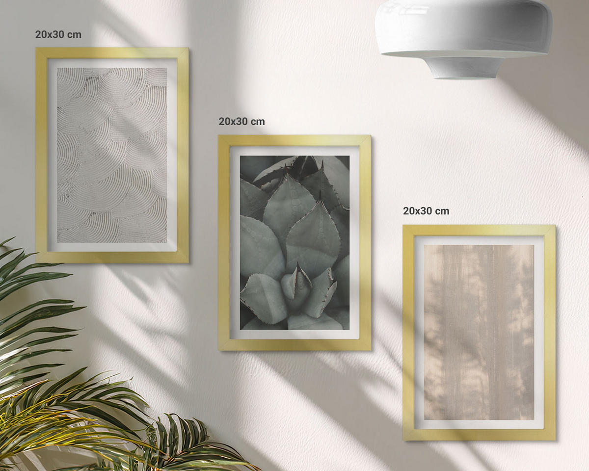 BILDER SET 3er Set - 20x30 cm Goldrahmen - Sommerliche tropische Texturen - Goldfarben, Kunststoff (20/30cm) - TULUP