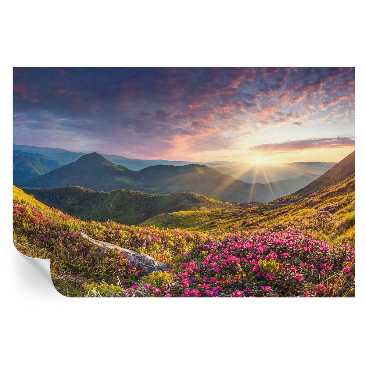 FOTOTAPETE 104x70 cm - Bergpanorama - Grün, Textil (104/70cm) - Wallfluent