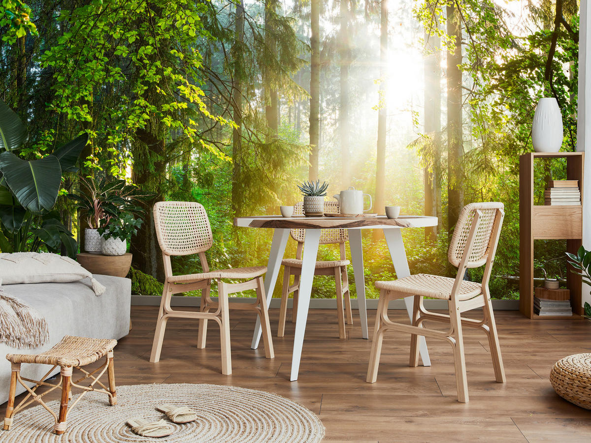 FOTOTAPETE für Wohnzimmer Sonniger Wald Bäume Pflanzen Natur Gras 450x315 - Multicolor, Papier (450/315cm) - Muralo