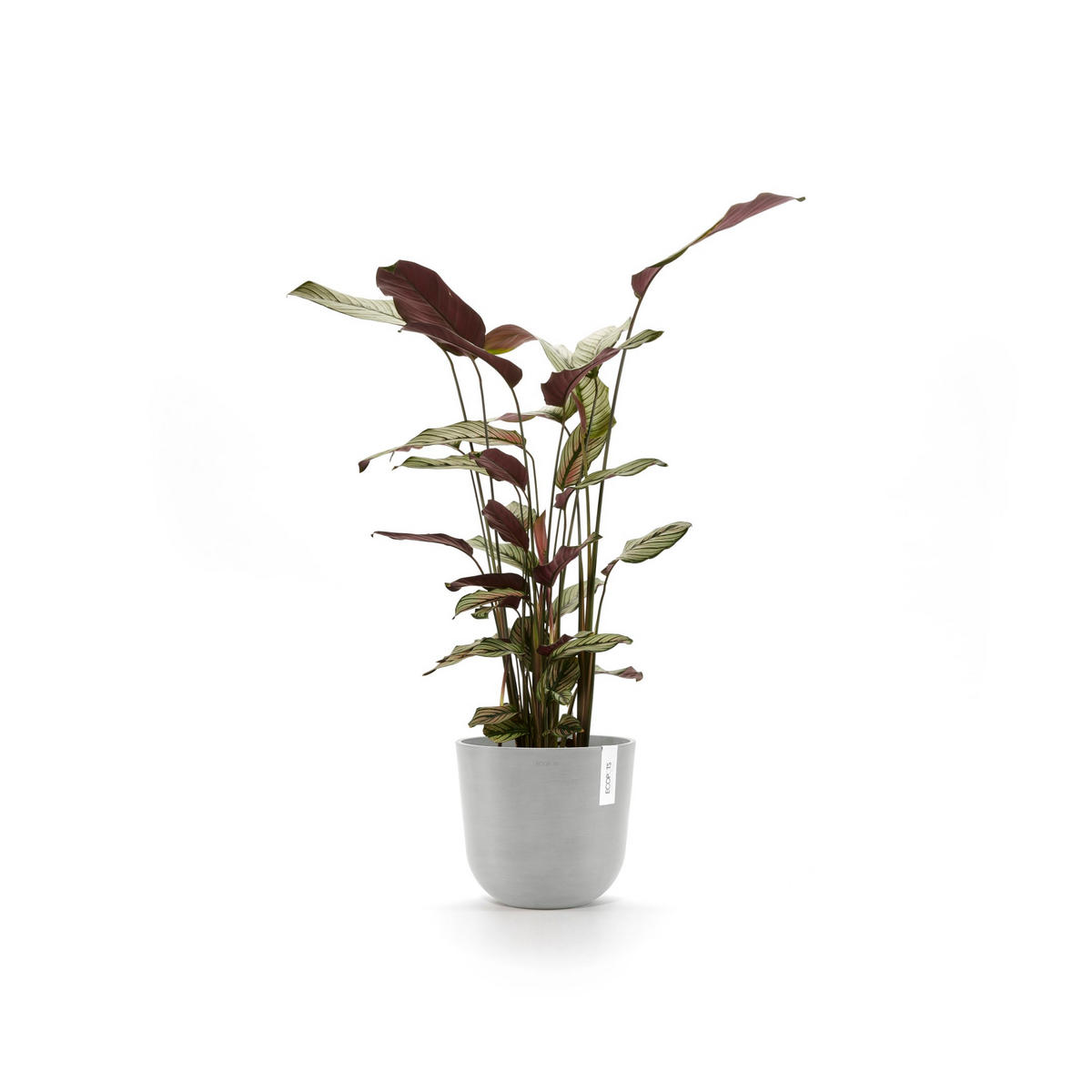 BLUMENTOPF mit Wasserreservoir Oslo 25/21,4 cm Hellgrau - Hellgrau, Kunststoff (25/21.4cm) - Ecopots