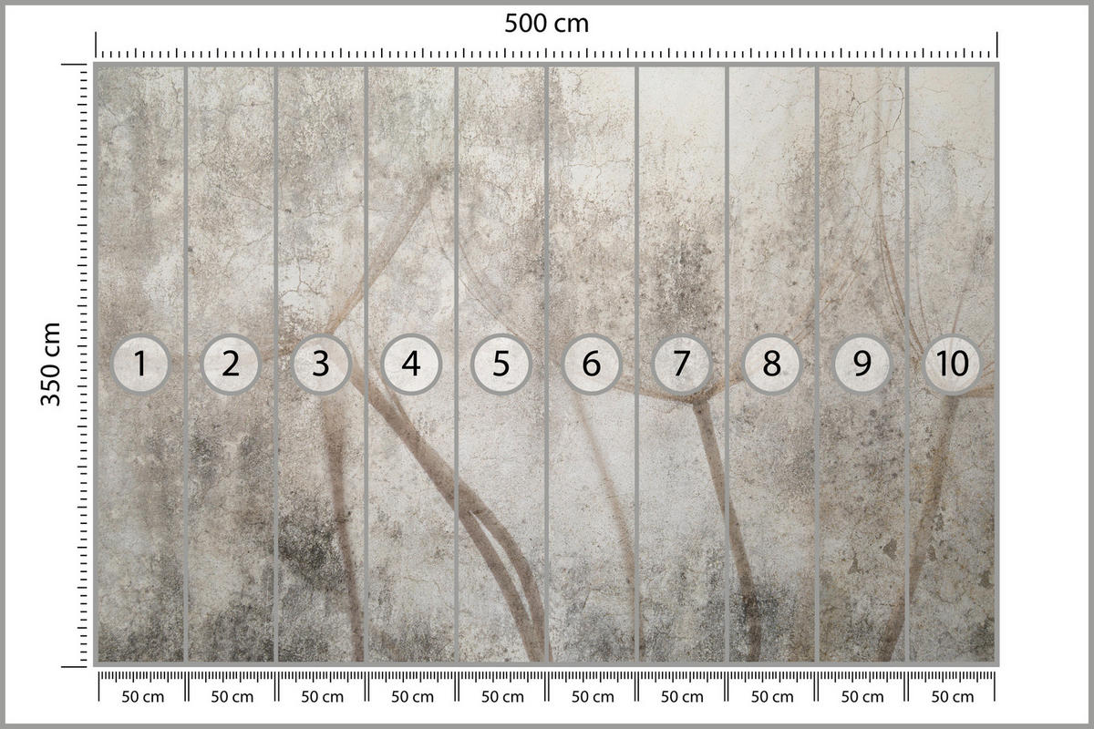 FOTOTAPETE für Wohnzimmer Zarter Skizze Löwenzahn Grauer Beton Minimalistisch 500x350 - Beige/Braun, Papier (500/350cm) - Muralo