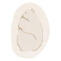 KINDERTEPPICH mit Reliefeffekt beige beige - Beige, Textil (160/229cm) - AFK Living
