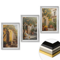 WANDBILDER 3er Set - 40x60 cm Silberner Rahmen - Zitrustöpfe für sonnige Terrassen - Silberfarben, Kunststoff (40/60cm) - ArtPrintCave