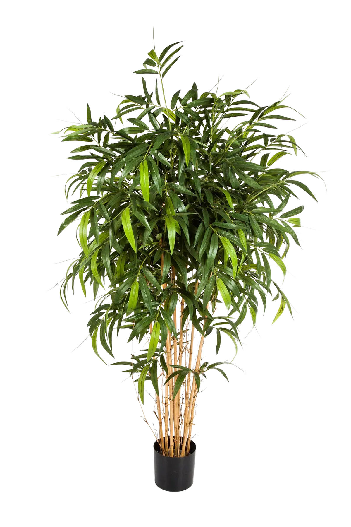 KUNSTBAUM Künstlicher Bambus - Maxim 180 cm - Grün, Kunststoff (180cm) - aplanta
