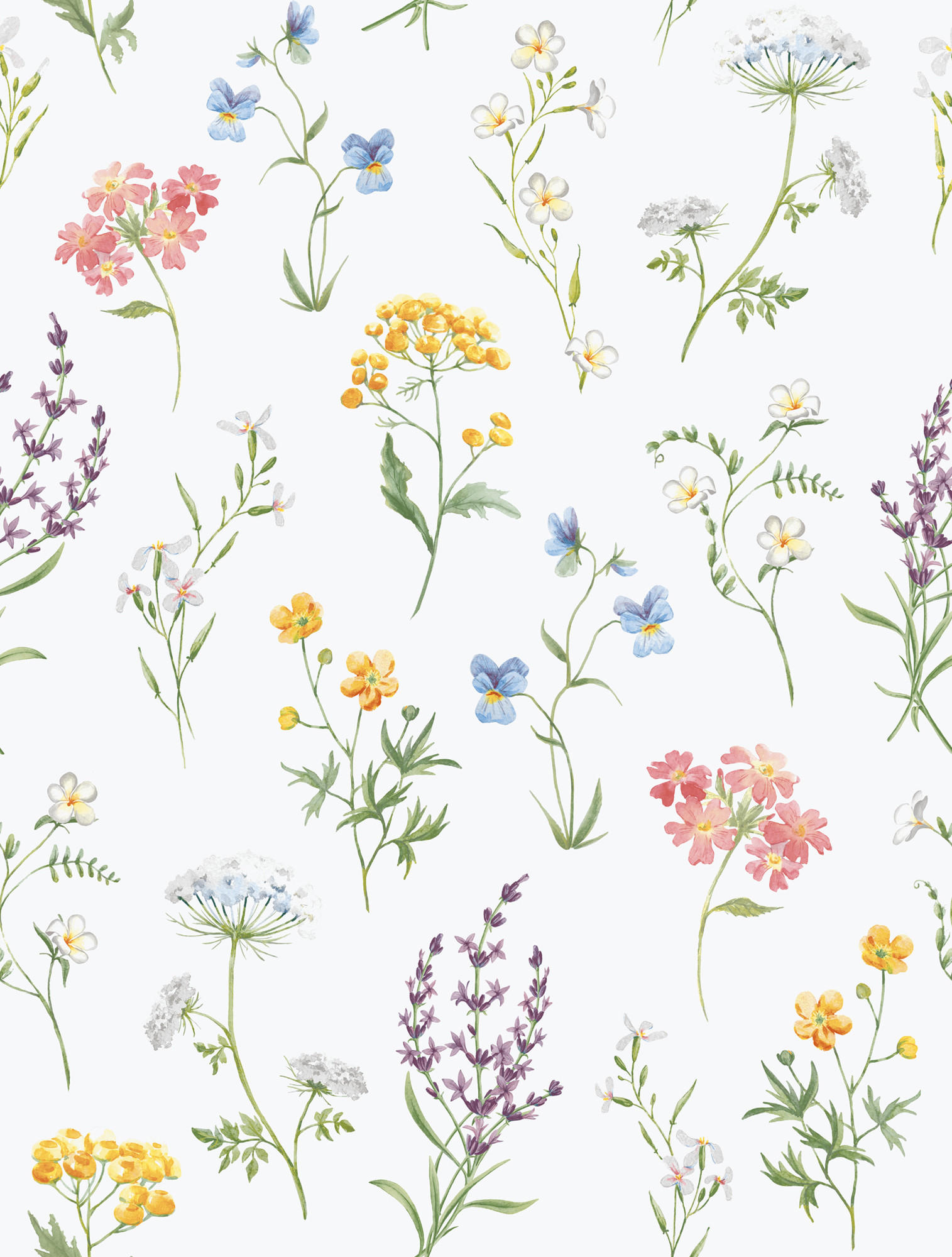 TAPETE Blumen 53 cm x 10 m - Grau, Papier (53/1000cm) - Sanders & Sanders