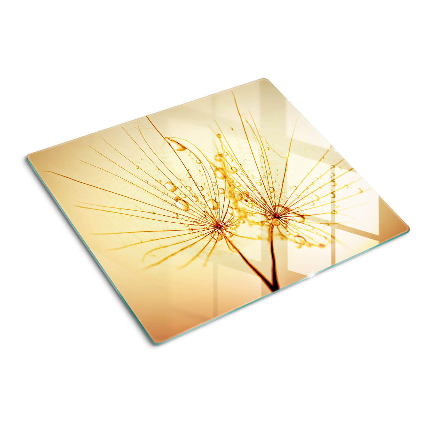 GLASPLATTE 60x52 cm Löwenzahn - Beige, Glas (60/0.4/52cm) - TULUP