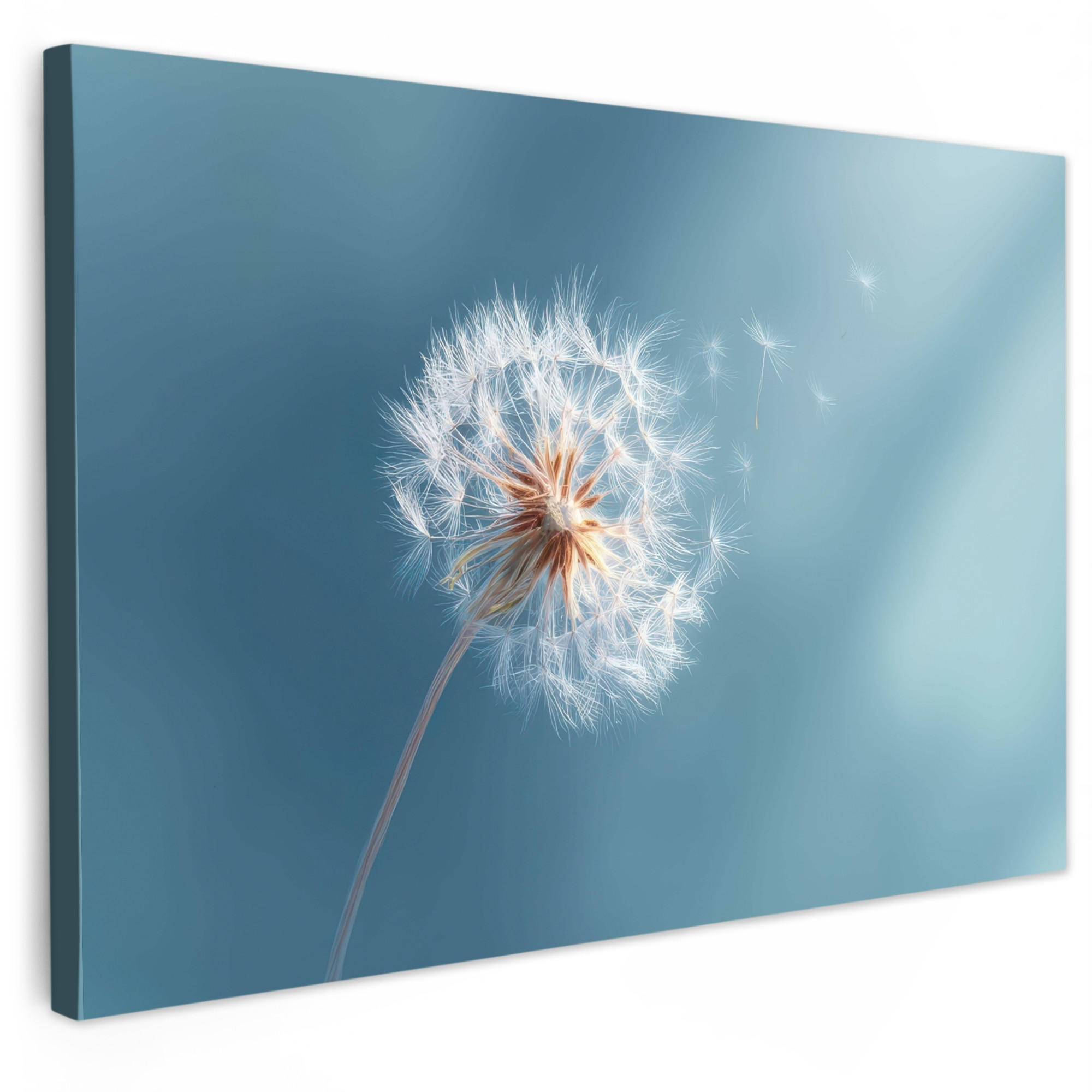LEINWANDBILD Löwenzahn - Wind - Blau Gemälde 60x40 cm - Blaugrau, Textil (60/40cm) - MuchoWow