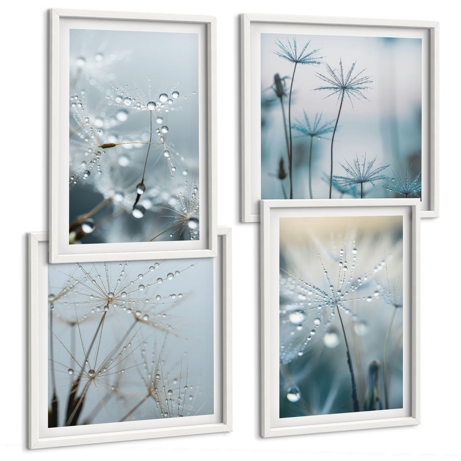 BILDER SET 4er Set - 50x50 cm & 40x60 cm Weißer Rahmen - Tautropfen auf Löwenzahn - Weiß, Kunststoff (50/50cm) - TULUP