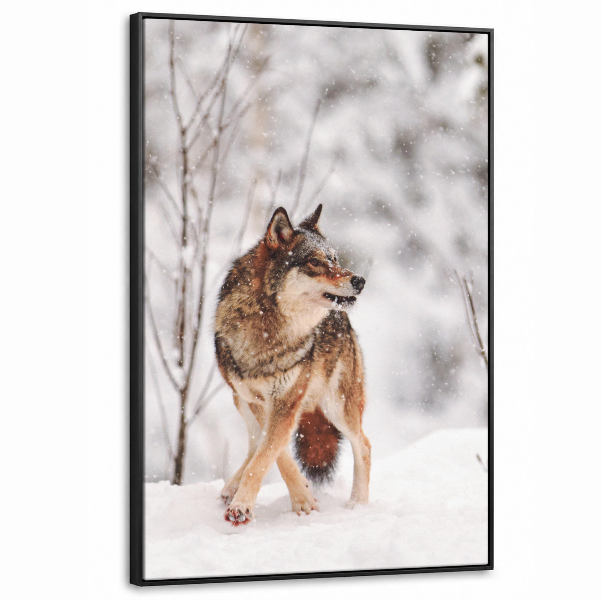 MuchoWow Leinwand Haselnuss 90x140 cm
