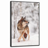 LEINWAND Bilder mit Rahmen - Wolf - Winter - Schnee - Natur - Tiere - 100x150 - Haselnussfarben, Textil (100/150cm) - MuchoWow