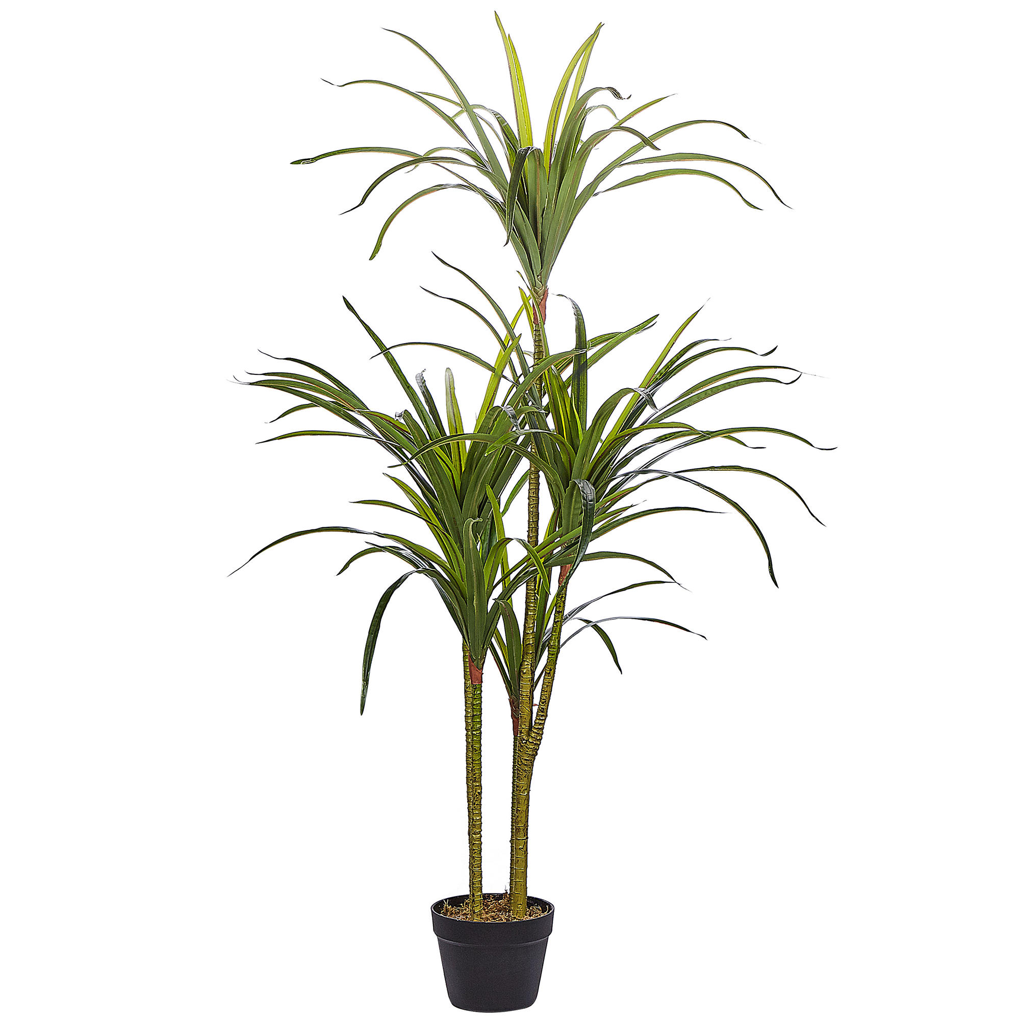 KUNSTPFLANZE im Blumentopf 147 cm Grün/Schwarz Dracaena Anita - Schwarz/Grün, Kunststoff (147cm) - Beliani