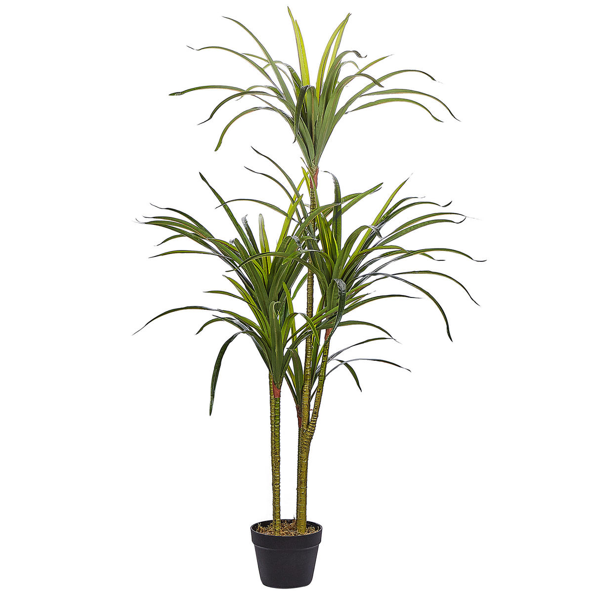 KUNSTPFLANZE im Blumentopf 147 cm Grün/Schwarz Dracaena Anita - Schwarz/Grün, Kunststoff (147cm) - Beliani