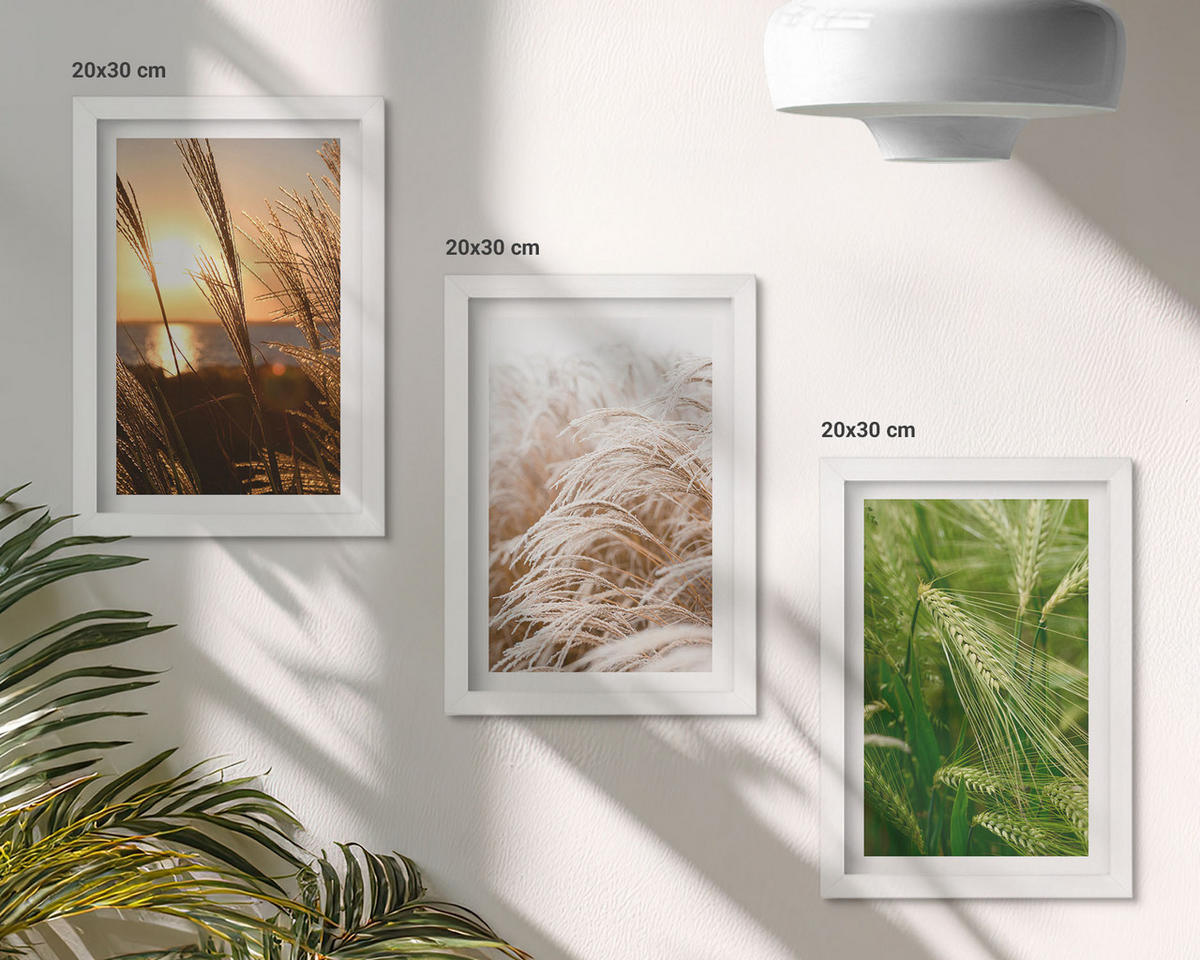BILDER SET 3er Set - 20x30 cm Weißer Rahmen - Gräser farbenfrohe Natur - Weiß, Kunststoff (20/30cm) - TULUP