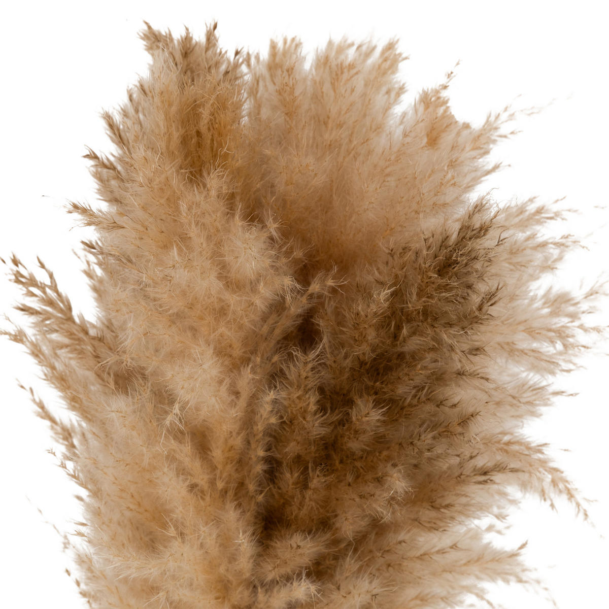 KERAMIKVASE Glen H. 42 cm - Beige, Keramik (42cm) - Atmosphera Createur d´interieur