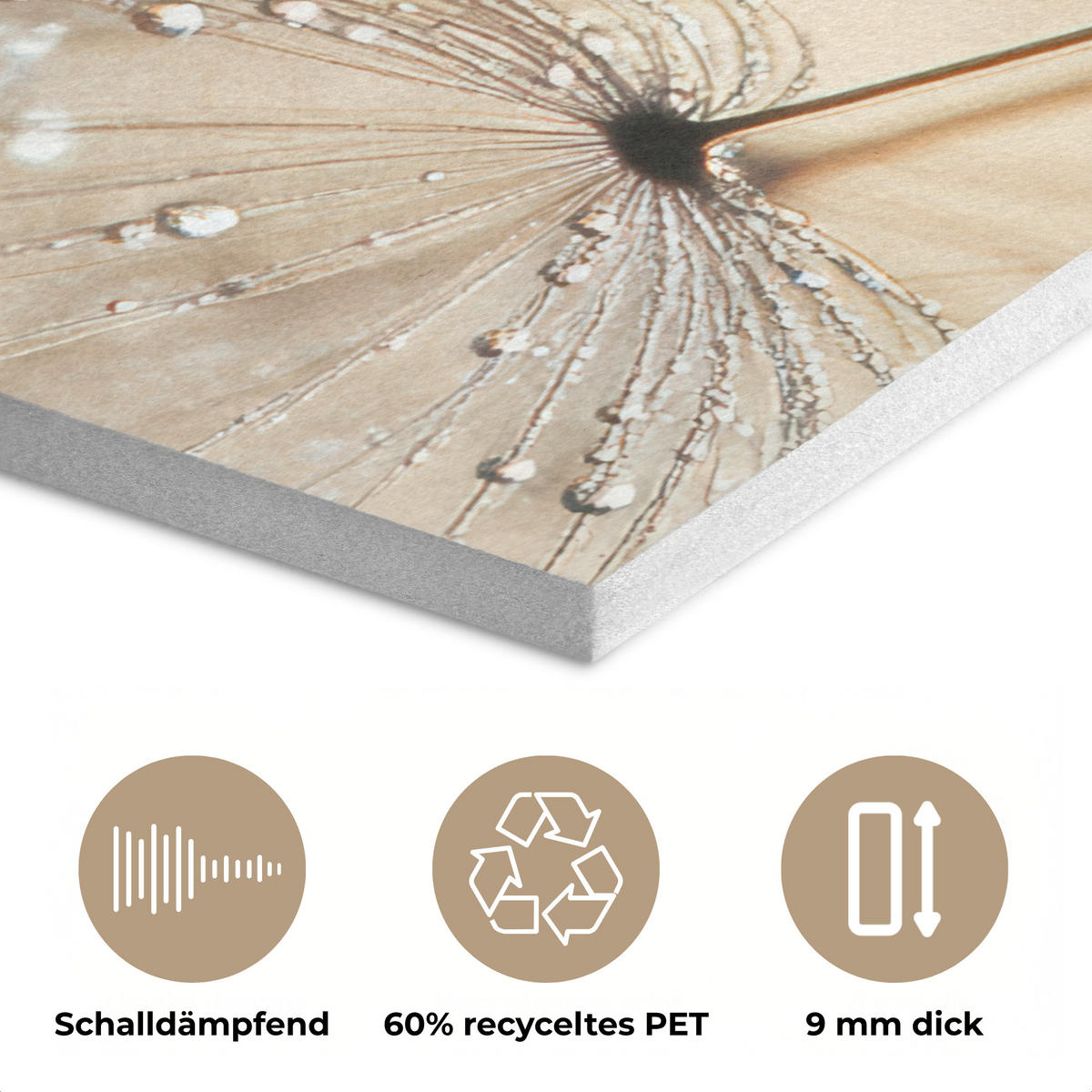 AKUSTIKBILD Löwenzahn - Abstrakt - Natur - Beige Wanddeko 60x90 cm - Braun, Kunststoff (60/90/0.9cm) - MuchoWow